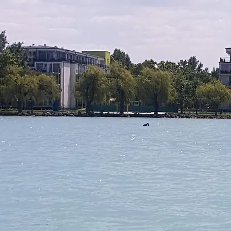 Διαμέρισμα Silver203 *